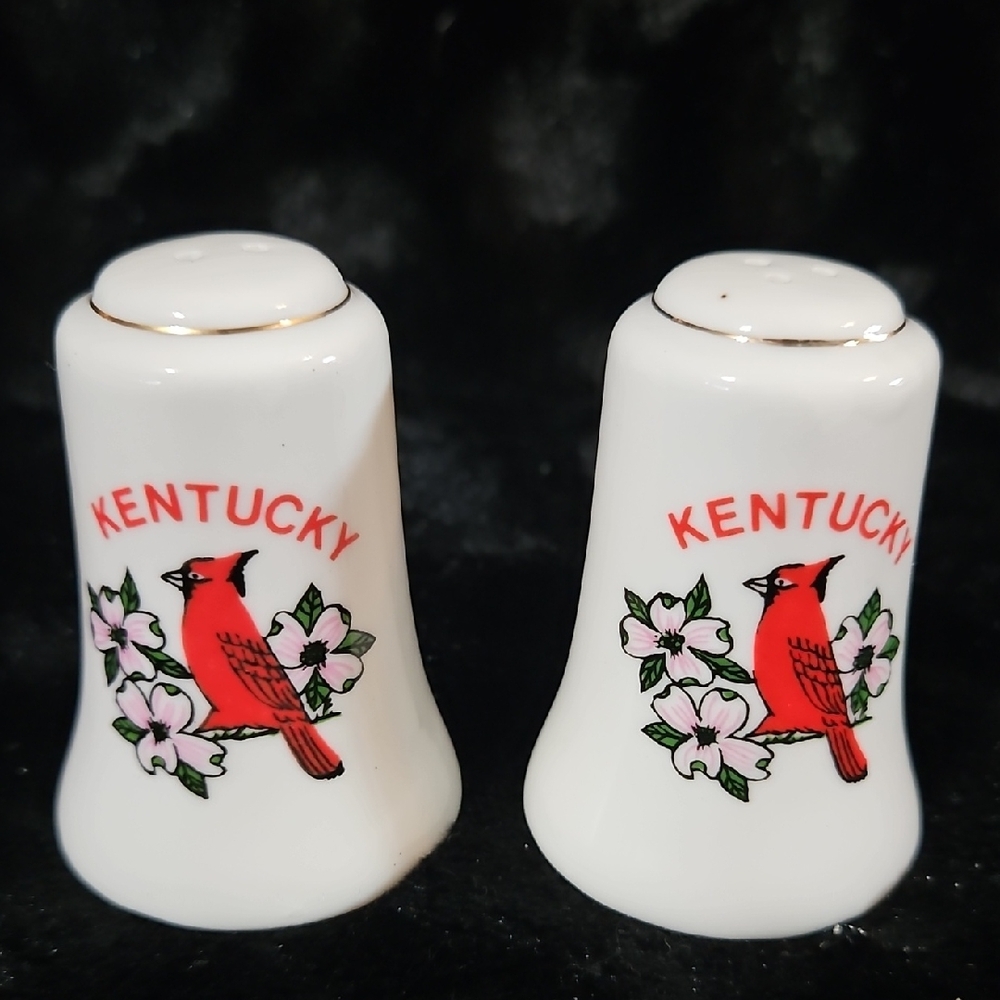 KENTUCKY SOUVENIR Red Cardinal Bird-Pink Dogwood Salt Pepper Shakers - White